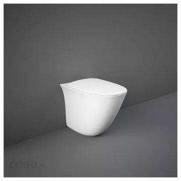 Set vas Wc Rak Sensation Rimeless stativ cu fixare ascunsa si capac soft-close - Montaj stativ