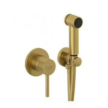 Set de dus igienic incastrat Kludi Bozz monocomanda finisaj auriu periat